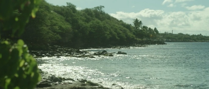 Hawaiian Ocean Safety